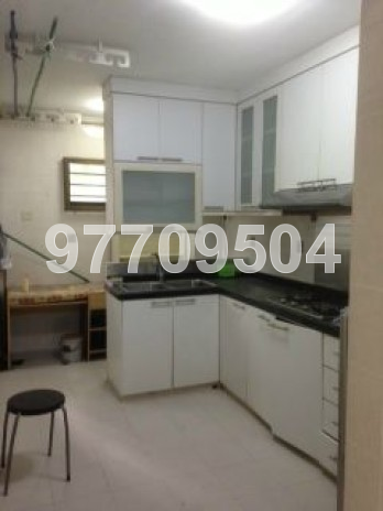 Blk 19 Dover Crescent (Queenstown), HDB 4 Rooms #50655952